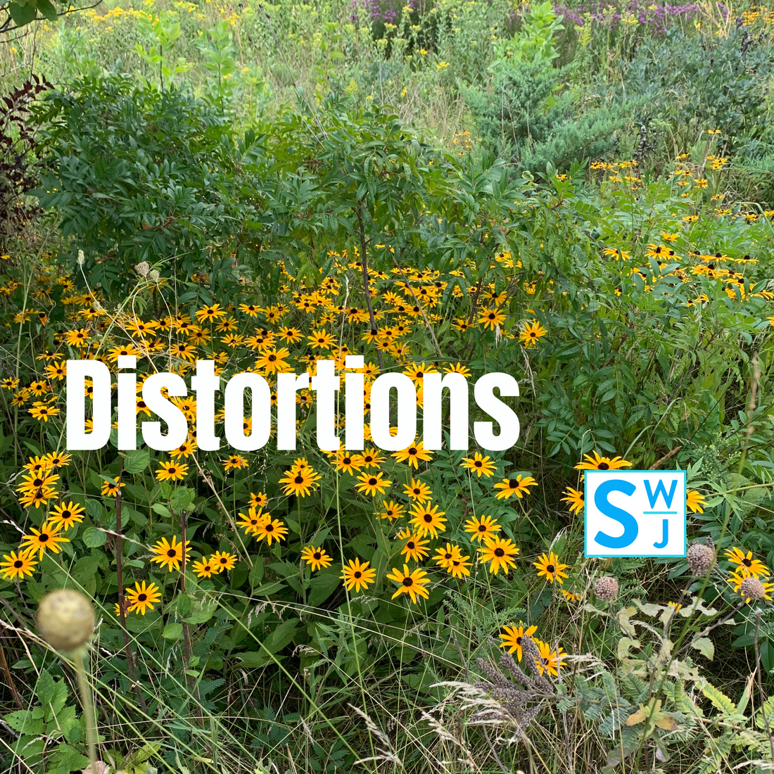 Sn 1 Ep 5 Distortions