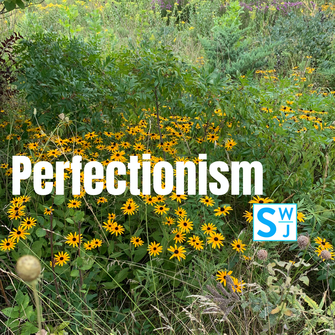 Sn 1 Ep 2 Perfectionism