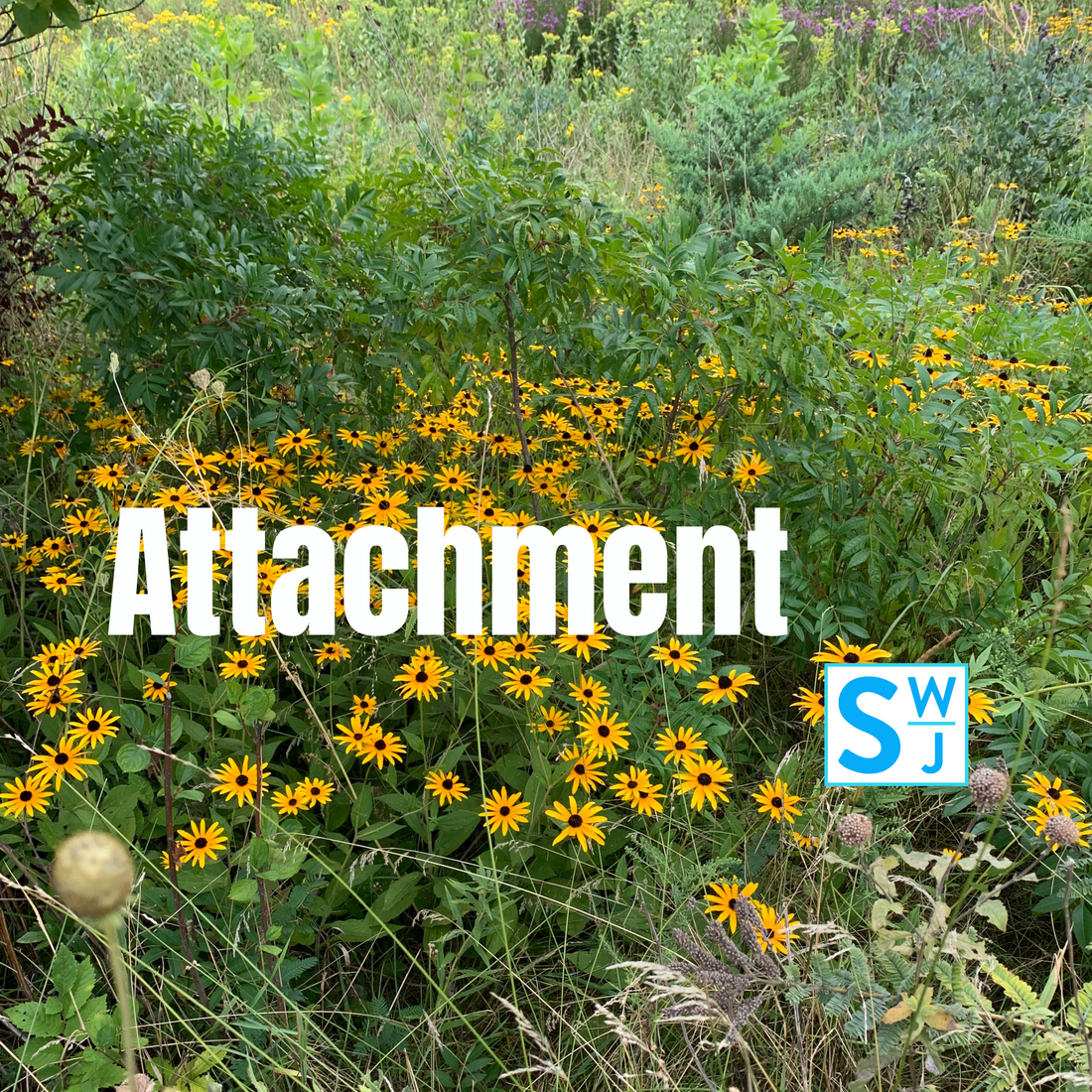 Sn 1 Ep I Attachment